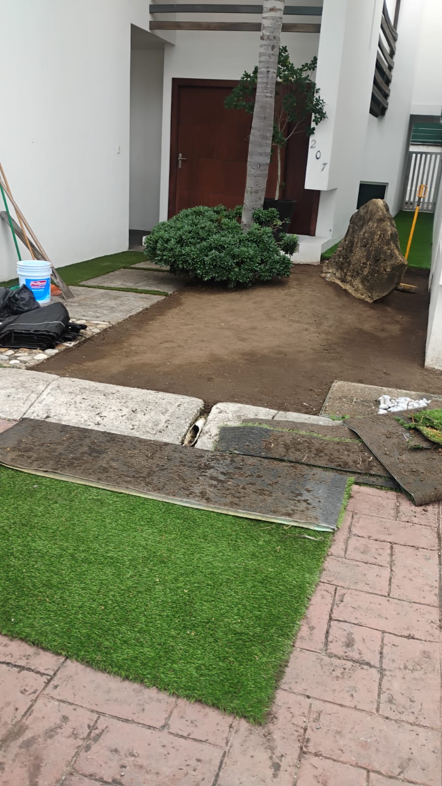 Pasto en zona de alto tráfico