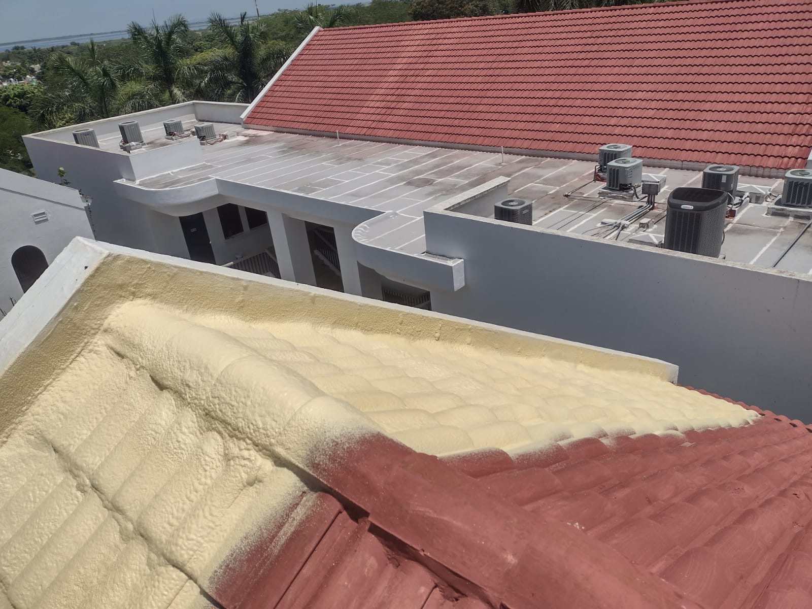 Cubierta curva — adaptación perfecta