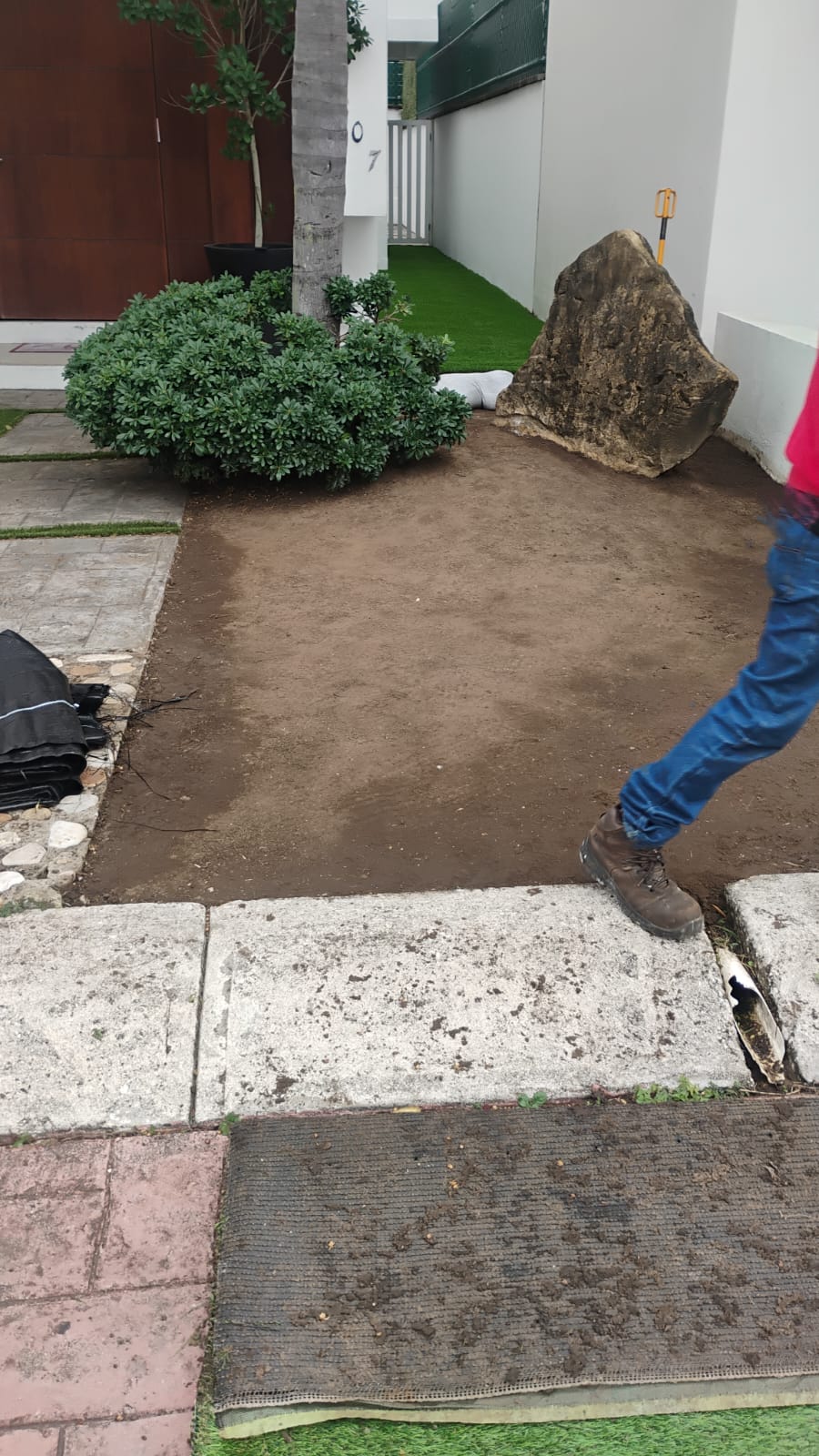 Pasto instalado — vista frontal