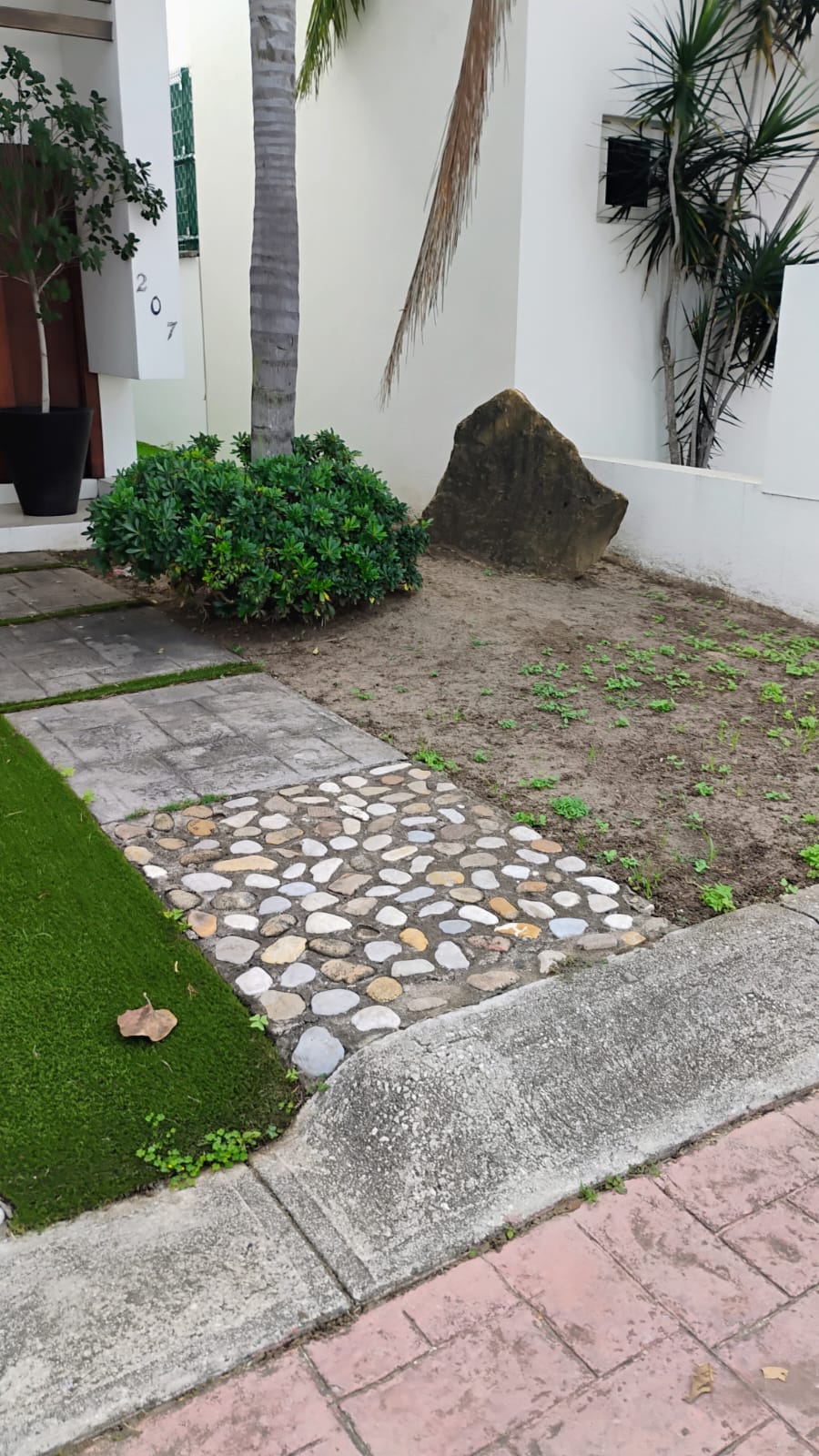 Corredor lateral con pasto premium
