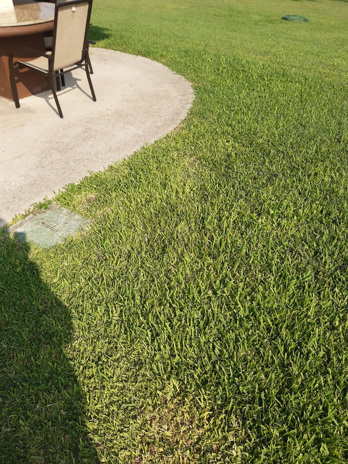 Jardín curvo con terraza — resultado premium