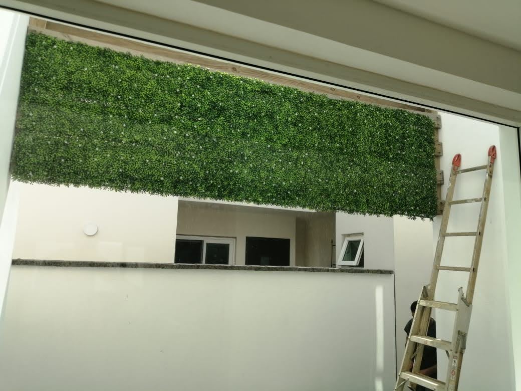 Muro verde con pasto — combinación elegante