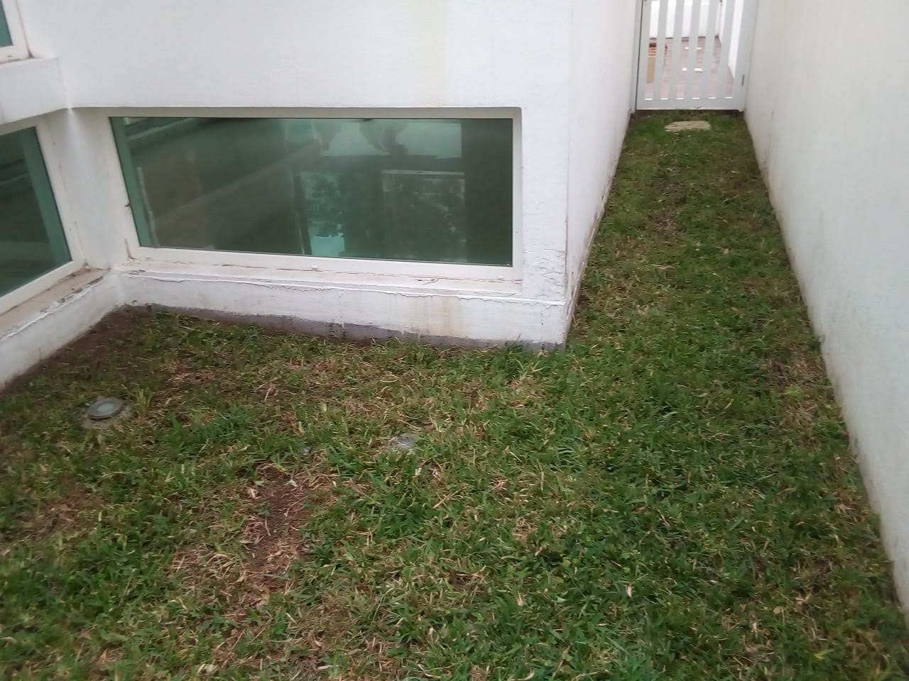 Área lateral — antes de instalar pasto